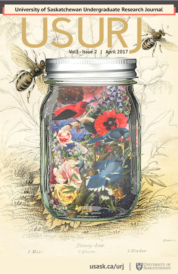 Cover of volume 3.1 of USURJ